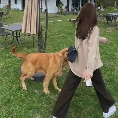 之前的女孩
